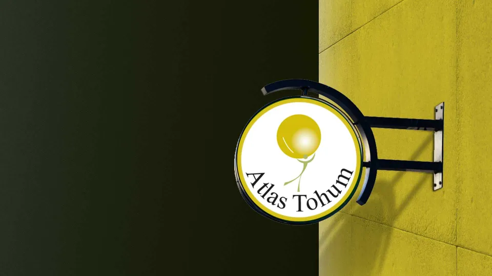 Atlas Tohum — Tabela Tasarımı