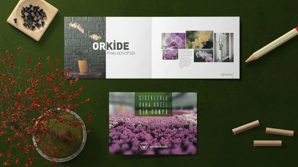 Garden Koala — Katalog Tasarımı