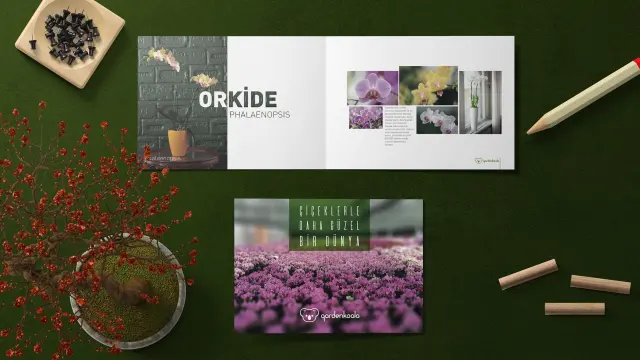 Garden Koala — Katalog Tasarımı