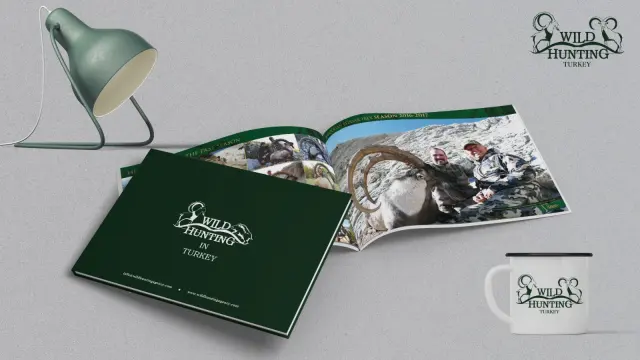 Wild Hunting — Katalog Çalışması
