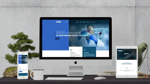 Vittek Vitamin Teknolojileri — İnternet Sitesi Tasarımı