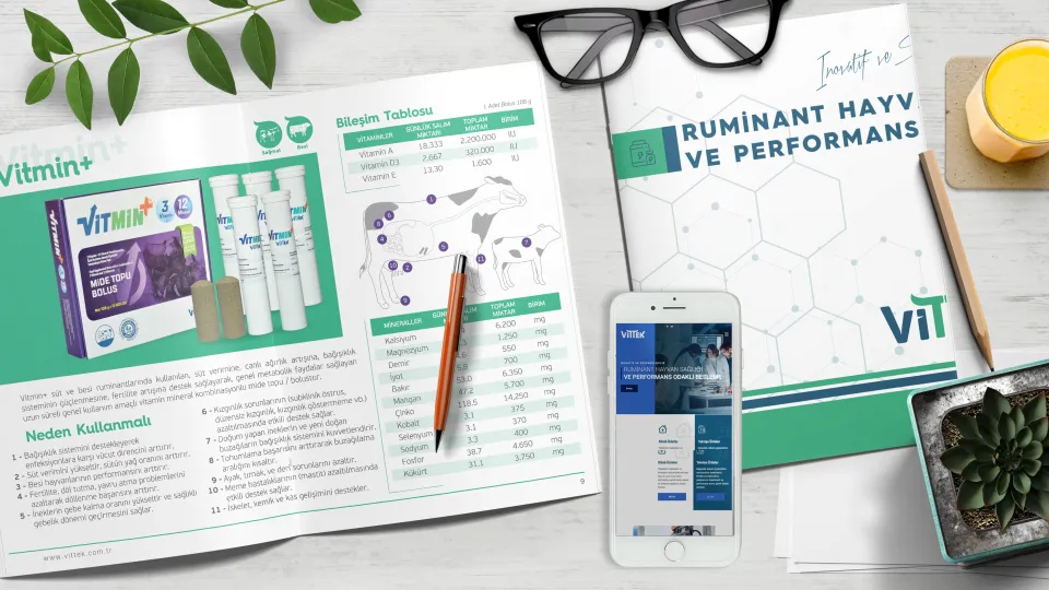 Vittek Vitamin Teknolojileri — Broşür Tasarımı